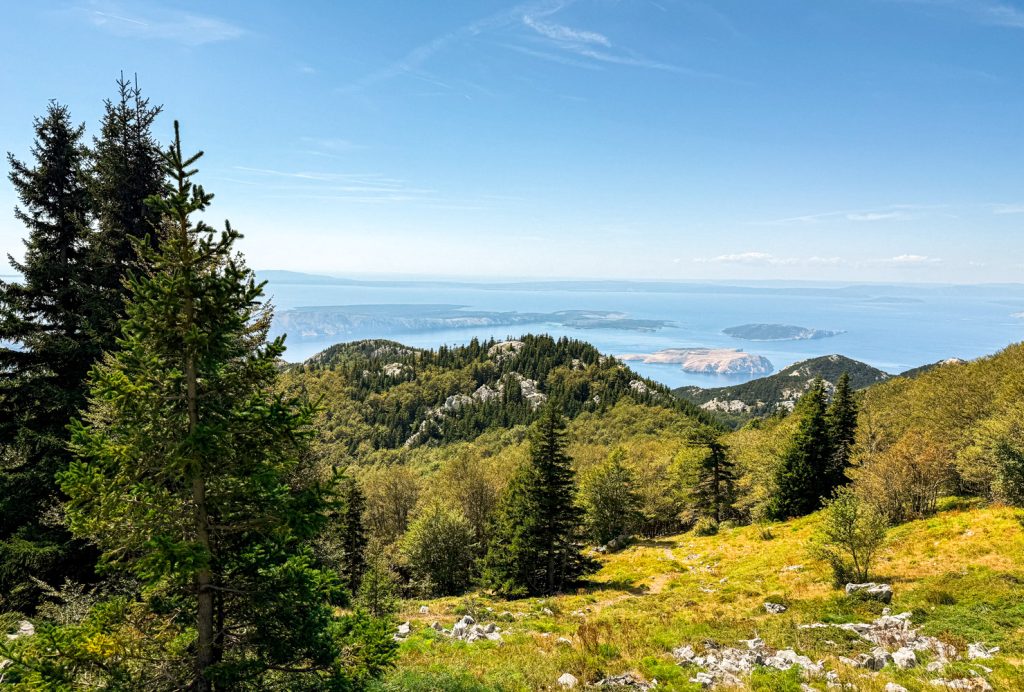 sjeverni_velebit_zavizan17