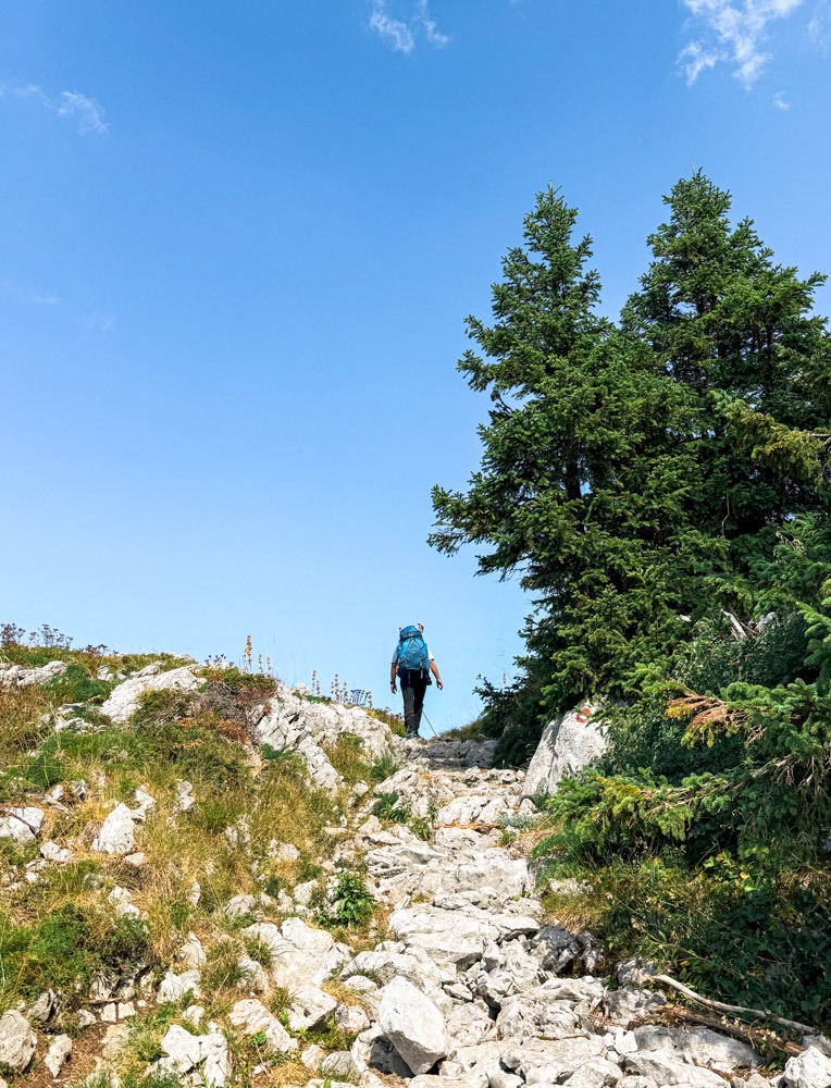 sjeverni_velebit_zavizan17