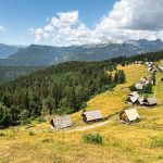 slovenija_pokljuka_zajamniki
