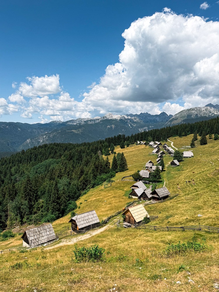 slovenija_pokljuka_zajamniki