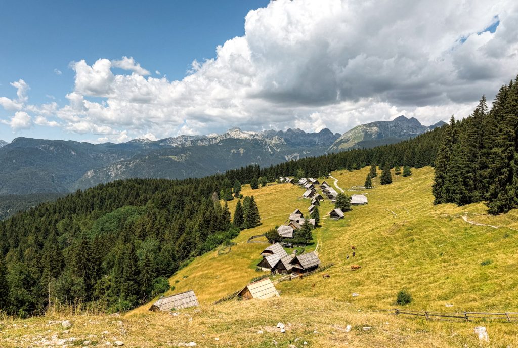 slovenija_pokljuka_zajamniki
