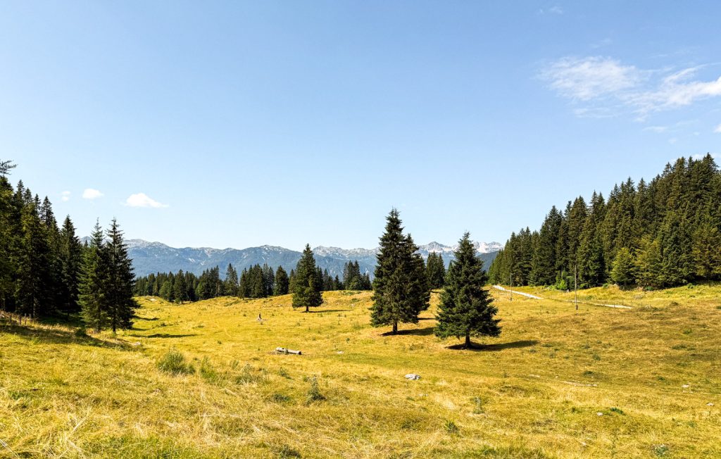 slovenija_pokljuka_zajamniki