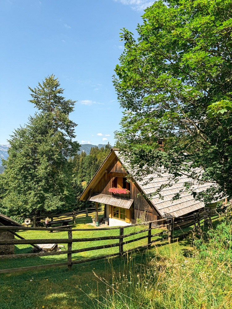 slovenija_pokljuka_zajamniki