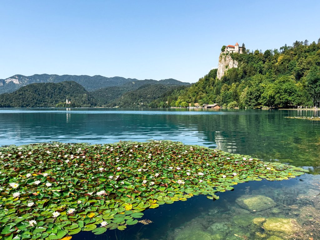 slovenija_bled_staza1
