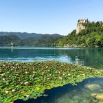 slovenija_bled_staza1